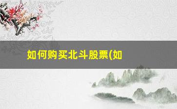 “如何购买北斗股票(如何购买股票操作流程)”/