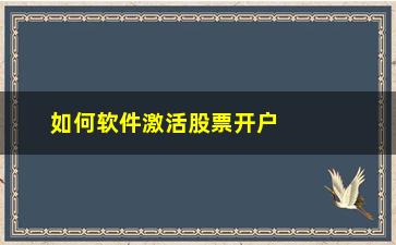 “如何软件激活股票开户(股票软件怎么开户)”/