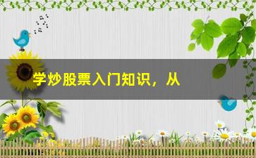 “学炒股票入门知识，从零开始学习炒股的基础知识”/