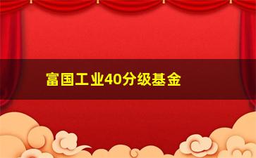 “富国工业40分级基金净值(富国工业40指数基金)”/