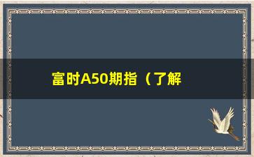 “富时A50期指（了解A股市场最重要的指数之一）”/