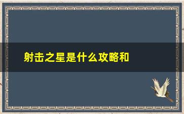 “射击之星是什么攻略和玩法介绍”/