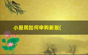 “小股民如何申购新股(股民不申购新股)”/