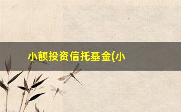 “小额投资信托基金(小额投资信托基金产品)”/