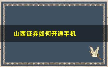 “山西证券如何开通手机交易股票(山西证券手机交易版官网)”/