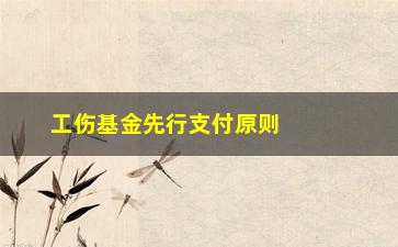 “工伤基金先行支付原则(工伤基金先行支付原则是什么)”/