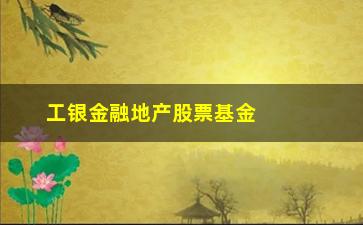 “工银金融地产股票基金怎么样(005938工银金融地产基金)”/