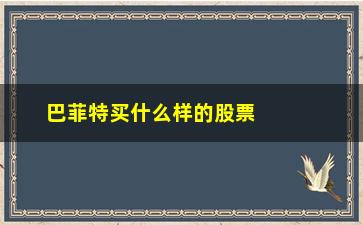 “巴菲特买什么样的股票(巴菲特的股票叫什么名字)”/