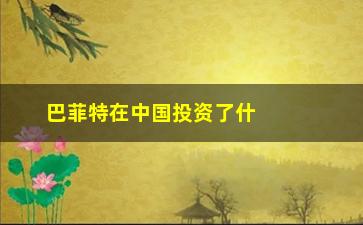 “巴菲特在中国投资了什么股票(巴菲特投资的中国股票)”/