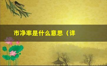 “市净率是什么意思（详解市净率的定义和应用）”/