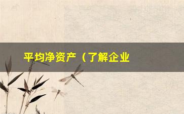 “平均净资产（了解企业财务状况的重要指标）”/