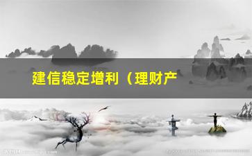 “建信稳定增利（理财产品介绍与分析）”/