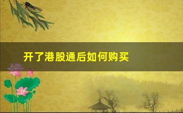 “开了港股通后如何购买(如何才能开港股通)”/