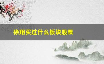 “徐翔买过什么板块股票(5月买什么板块股票好)”/