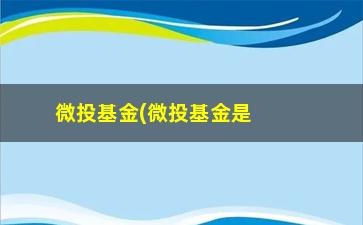 “微投基金(微投基金是什么意思)”/