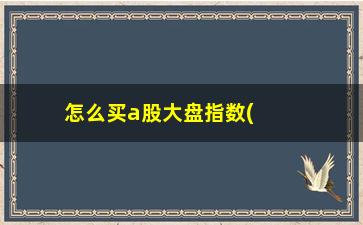 “怎么买a股大盘指数(大盘指数怎么算出来的)”/