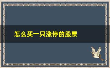 “怎么买一只涨停的股票(如何买到涨停股票)”/