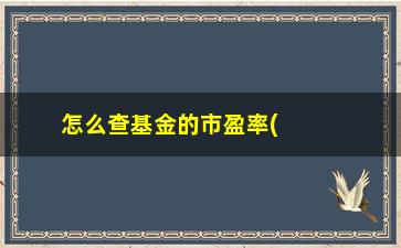 “怎么查基金的市盈率(沪深300市盈率查询)”/