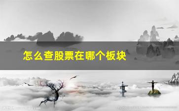 “怎么查股票在哪个板块(怎么查股票收盘价格)”/