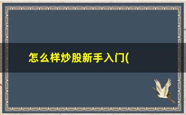 “怎么样炒股新手入门(如何买卖股票新手入门)”/