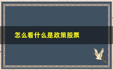 “怎么看什么是政策股票(怎么看买什么股票)”/