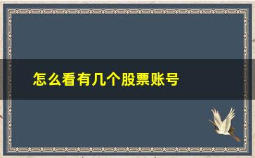 “怎么看有几个股票账号(怎么看有几个股票账号啊)”/