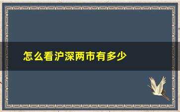 “怎么看沪深两市有多少只股票(如何查看沪深总市值)”/