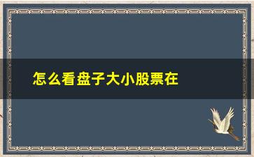 “怎么看盘子大小股票在哪里看(如何看一支股票盘子的大小)”/