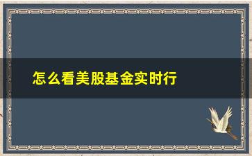 “怎么看美股基金实时行情(美股基金怎么看当天估值)”/