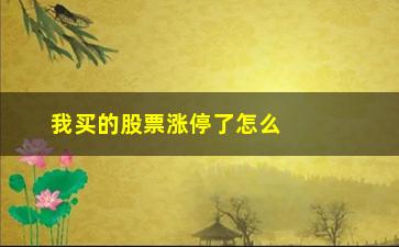 “我买的股票涨停了怎么办(股票交易涨停了还能买吗)”/