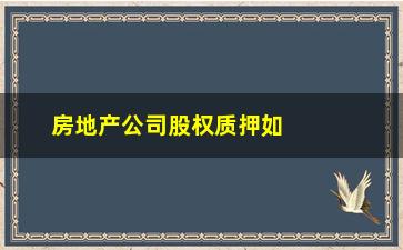 “房地产公司股权质押如何操作(房地产公司股权质押后影响房屋预售吗)”/