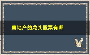 “房地产的龙头股票有哪些(深圳房地产龙头股票有哪些)”/