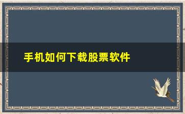 “手机如何下载股票软件(如何下载手机导航软件)”/