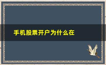 “手机股票开户为什么在异地(手机开户股票开户安全吗)”/