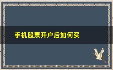 “手机股票开户后如何买(手机股票网上开户)”/