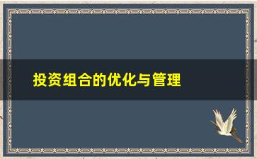 “投资组合的优化与管理（如何构建一个稳健的投资组合）”/