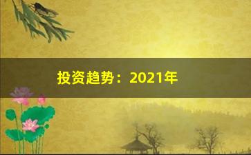 “投资趋势：2021年经济大环境下的投资方向分析”/