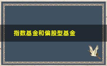 “指数基金和偏股型基金的区别(指数基金和偏股基金的区别)”/