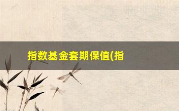 “指数基金套期保值(指数型基金和指数型期货之间的关系)”/