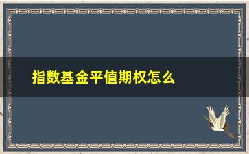 “指数基金平值期权怎么算(累计期权)”/