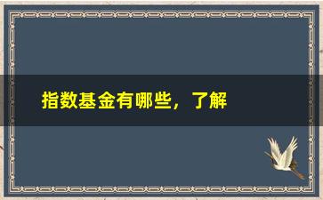 “指数基金有哪些，了解指数基金投资的品种和特点”/