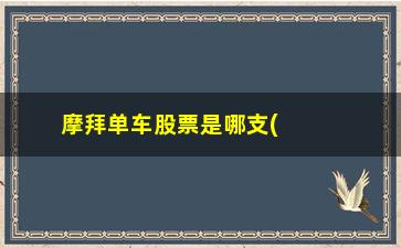 “摩拜单车股票是哪支(摩拜单车锁不上怎么办)”/