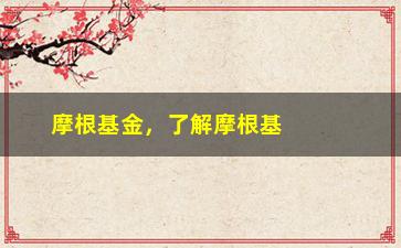 “摩根基金，了解摩根基金的投资策略和收益情况”/