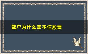 “散户为什么拿不住股票(股票为什么散户多就下跌)”/