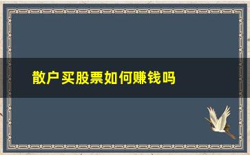 “散户买股票如何赚钱吗(如何买股票才能赚钱)”/