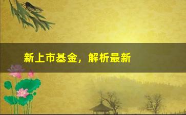 “新上市基金，解析最新基金市场趋势”/