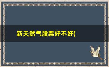 “新天然气股票好不好(603393新天然气股吧吧)”/