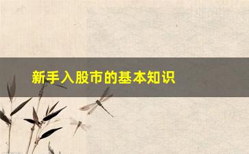 “新手入股市的基本知识(新手入股市的基本知识有哪些)”/