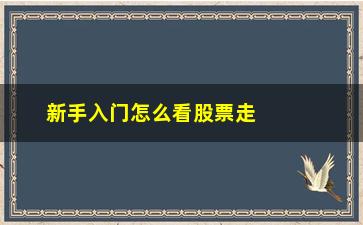 “新手入门怎么看股票走势图(新手怎么看懂股票)”/