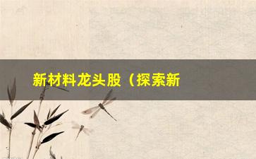 “新材料龙头股（探索新材料领域的龙头企业）”/